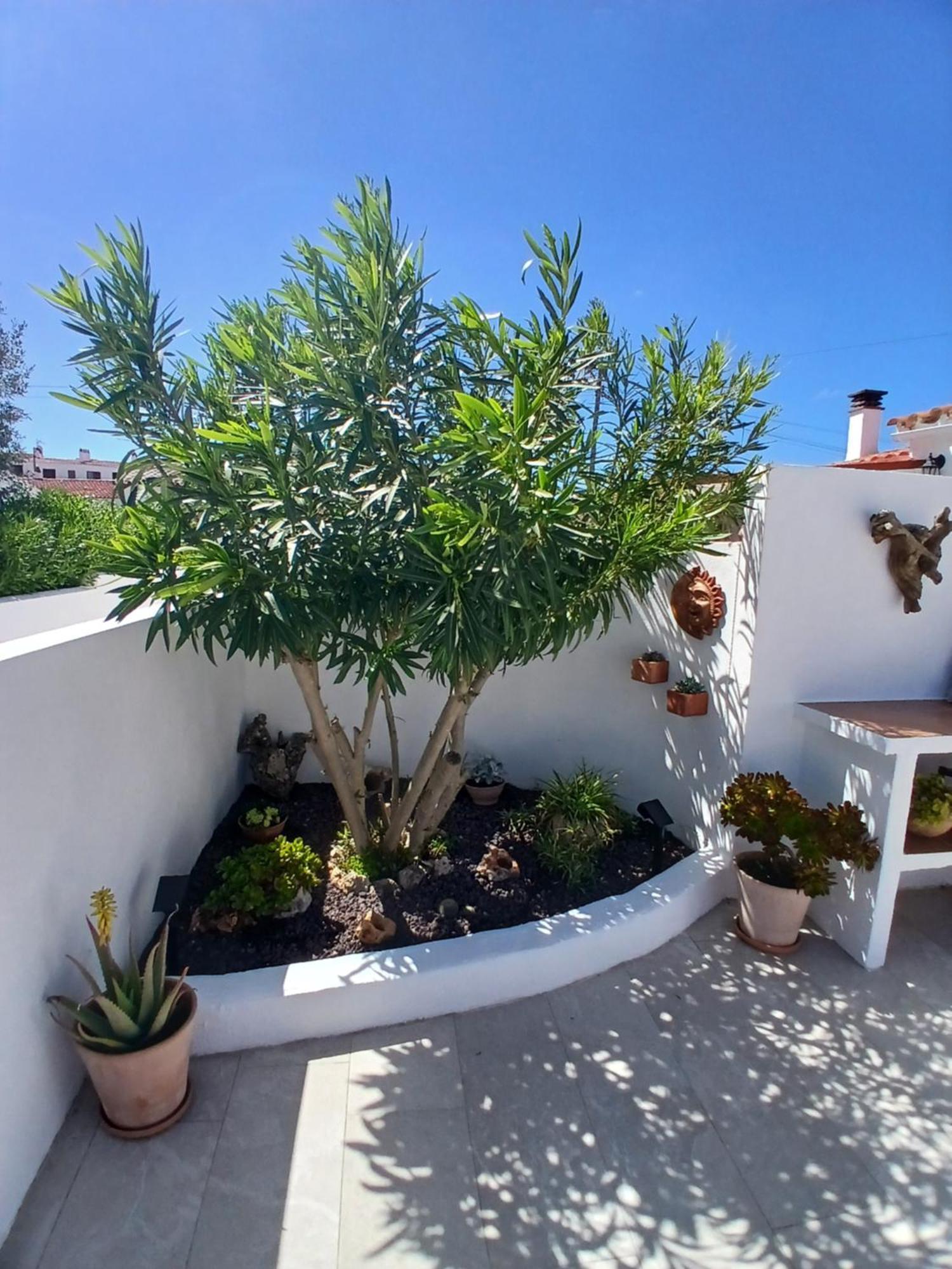 Tramontana Villa Cala En Porter  Екстериор снимка